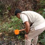 Drone Surveys are Transforming Environmental Monitoring in India